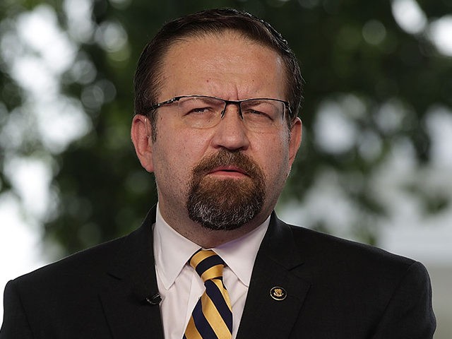 WASHINGTON, DC - JUNE 22: White House Deputy Assistant To The President Sebastian Gorka speaks as he is interviewed by Fox News remotely from the White House June 22, 2017 in Washington, DC. Gorka discussed American Otto Warmbier's death after his return from North Korean detention. (Photo by Alex Wong/Getty …