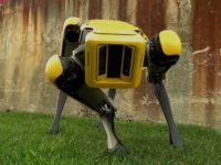 robot-spot-mini-boston-dynamics robot boston dynamics
