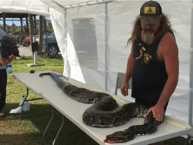 A massive python weighing 122 pounds was stalked and killed by Dusty “Wildman” Crum, w