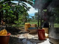 A "cambullon" (small lab to produce cocaine base paste) at a clandestine farm in southeast Columbia A "cambullon" (small lab to produce cocaine base paste) at a clandestine farm in southeast Columbia