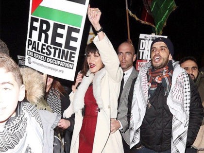 Bella Hadid Free Palestine Instagram
