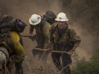 Firefighter Thomas fire (David McNew / Getty) Firefighter Thomas fire (David McNew / Getty)
