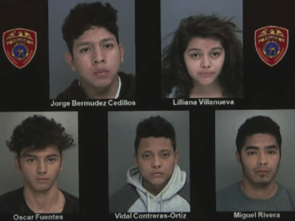 MS-13 Alleged Gang