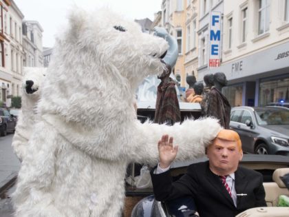 Polar Bear (Bernd / AFP / Getty)