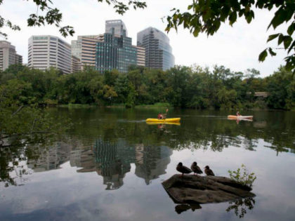 Kayakers paddle past the Rosslyn, Va., skyline, seen from Theodore Roosevelt Island in the