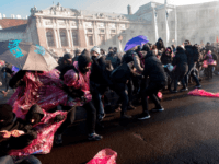 Vienna1 Vienna1