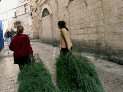 Unidentified women carry trees supplied by the municipality for Christmas in the Old City of Jerusalem Monday, Dec. 23, 2002. (AP Photo/Murad Sezer)
