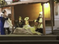 nativity1 Best church Nativity pageant ever? Sheep steals baby Jesus, Mary saves him