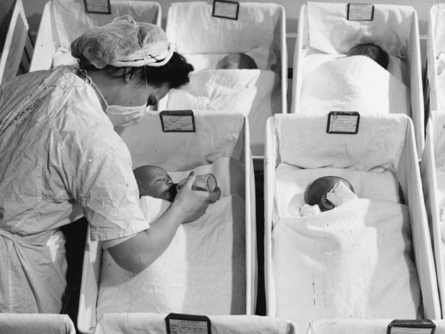 Rows of newly born babies in a maternity ward in a US hospital. (Photo by Three Lions/Gett