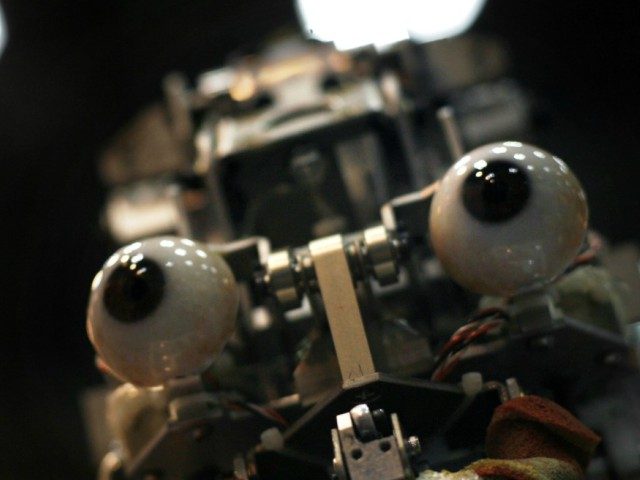 A humanoid robot, without its facial skin, is displayed at Japan's largest robot convention in Tokyo Wednesday Nov. 28, 2007. The life-size dental training robot, dubbed Simroid for "simulator humanoid," has realistic skin, eyes, and a mouth that can be fitted with replica teeth that trainees practice drilling on and …