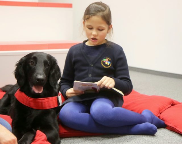 Eight-year-old Urte reads to therapy dog Mona at Lithuania's national library in Vilnius