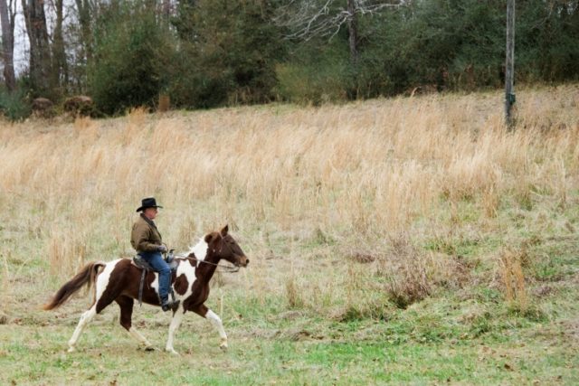 Christian conservative Roy Moore, seen here riding his horse Sassy, submitted an election