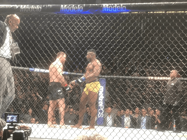 Stipe Miocic And Daniel Cormier Dominant At UFC 220