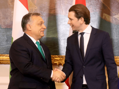 Austrian Chancellor Sebastian Kurz, right, welcomes Hungarian Prime Minister Viktor Orban, left, at the federal chancellery in Vienna, Austria, Tuesday, Jan. 30, 2018. (AP Photo/Ronald Zak)