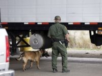 Checkpoint Prosecutions A U.S. Customs and Border Patrol agent and K-9 security dog keep watch at a checkpoint station, Friday, Feb. 22, 2013, in Falfurrias, Texas. (AP Photo/Eric Gay)