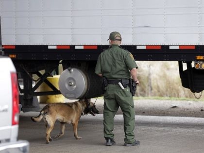 A U.S. Customs and Border Patrol agent and K-9 security dog keep watch at a checkpoint sta