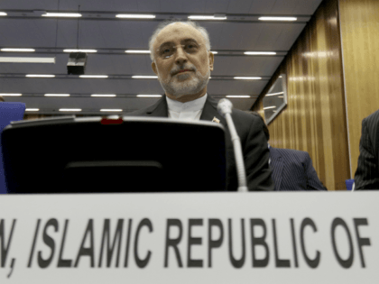 Head of Iran's Atomic Energy Organization Ali Akbar Salehi waits for the beginning of the general conference at the International Atomic Energy Agency, IAEA, in Vienna, Austria, Monday, Sept. 18, 2017. (AP Photo/Ronald Zak)