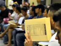 Chamber of Commerce: ‘Critically Important’ for Senate to Pass Amnesty