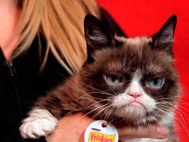 The owners of meme "Grumpy Cat" won more than $700,000 in a lawsuit