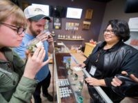 Marijuana store (Robyn Beck / Getty)