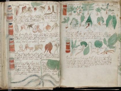 A page from the mysterious 600-year-old Voynich Manucript