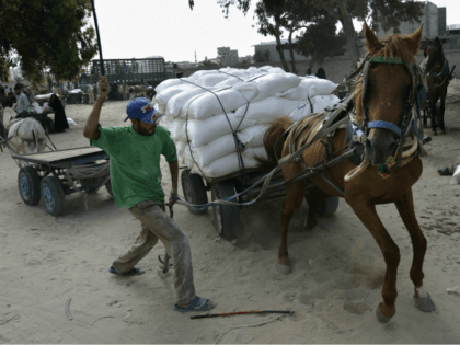 A Palestinian whips a horse carrying a cart loaded with sacks of flour at a United Nations