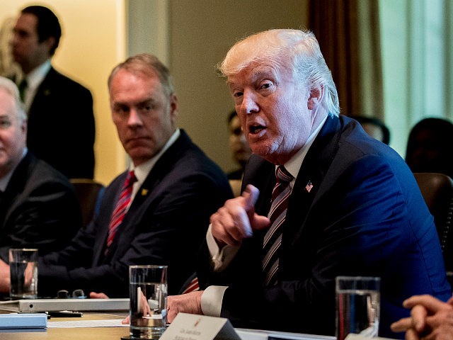 President Donald Trump speaks during a Cabinet Meeting, Monday, June 12, 2017, in the Cabinet Room of the White House in Washington, From left are, Education Secretary Betsy DeVos, Health and Human Services Secretary Tom Price, and Interior Secretary Ryan Zinke and the president. (AP Photo/Andrew Harnik)
