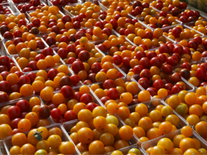 Cherry tomatoes are displayed for sale with summer fruits and vegetables at a farmers market in Falls Church, Va., Saturday, July 28, 2017. (AP Photo/J. Scott Applewhite)