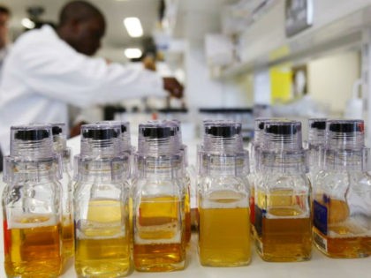 Urine samples are seen in the foreground as a laboratory technician prepares samples of urine for doping tests during a media open day, ahead of the Vancouver Winter Olympics, at the King's College London Drug Control Centre, London, Friday Feb. 5, 2010. The drug control centre is the UK's only …