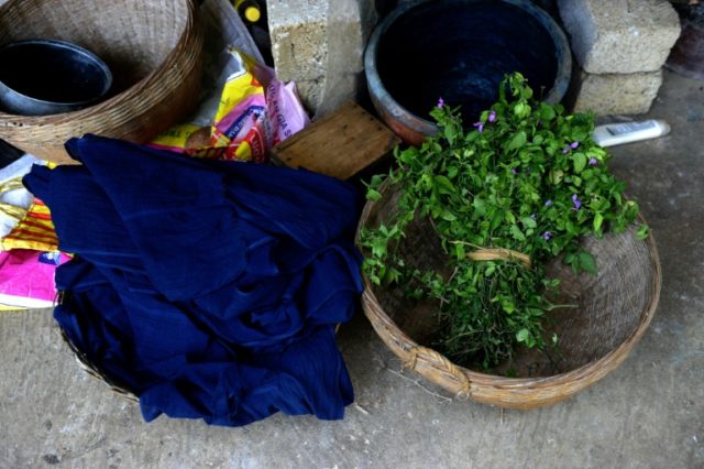 Indigo leaves used to dye materials -- the world's demand for blue denim jeans has led to