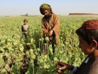 New US sanctions target Taliban, Haqqani financiers