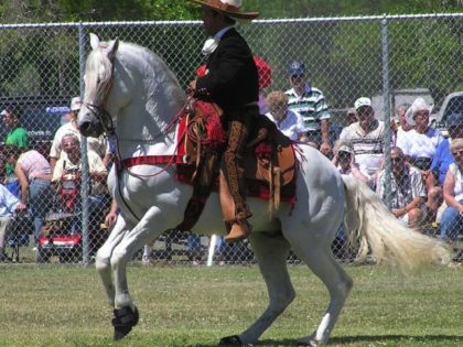 AztecaHorse - public domain