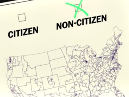 Census Citizen, Non-Citizen Graphic