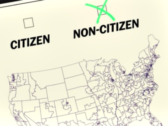 Census Citizen, Non-Citizen Graphic