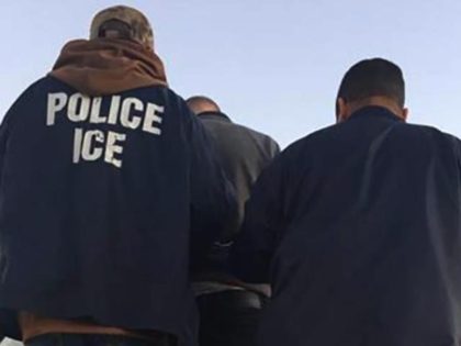 ICE officers remove criminal alien - ICE photo