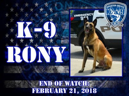 K-9 Rony had to be euthanized after breaking his leg in pursuit of a suspect.