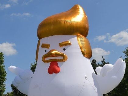 Trump Chicken (Mandel Ngam / AFP / Getty)