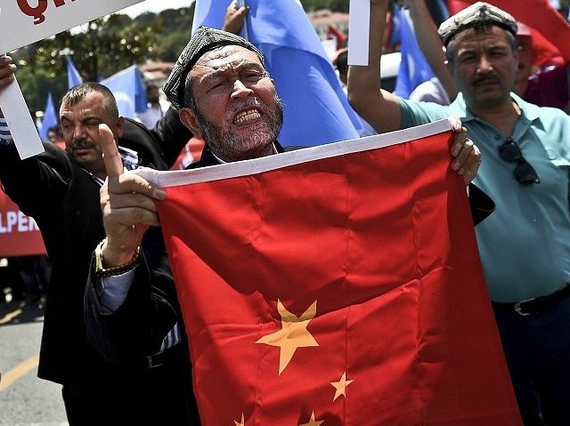 Turkish nationalists holds placards reading 'Turkey save your Brother-China get out from e