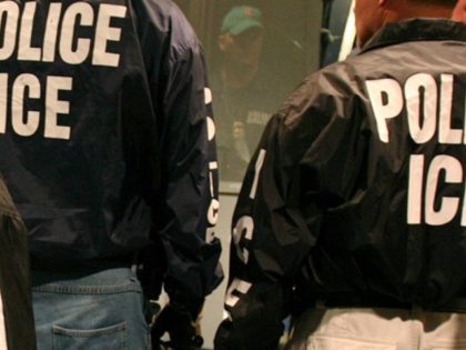 ICE agents making immigration arrest. AP File Photo