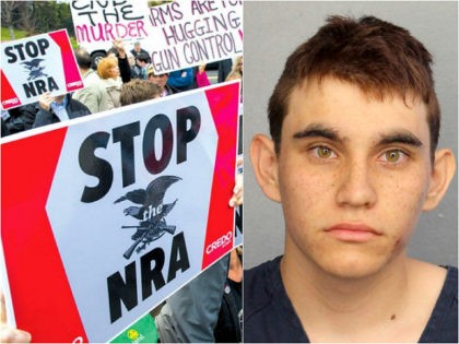 NRA protest - Nikolas Cruz