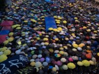 Wong, Law and Chow shot to prominence as leaders of the 2014 pro-democracy Umbrella Movement Wong, Law and Chow shot to prominence as leaders of the 2014 pro-democracy Umbrella Movement