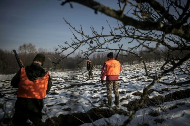 Hunting wolves in Serbia's southern forests