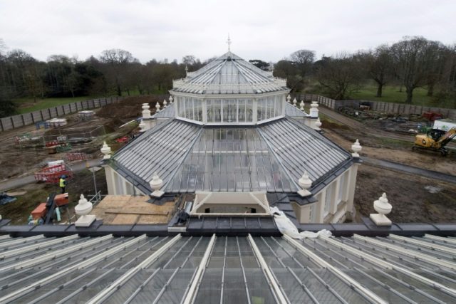 Giant London glasshouse to reopen with world's rarest plants