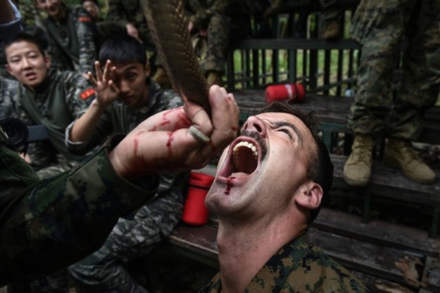 Marines drink cobra blood in US-Thai war drills