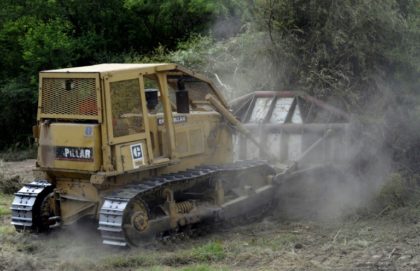 Berlin films journey into agribusiness wastelands
