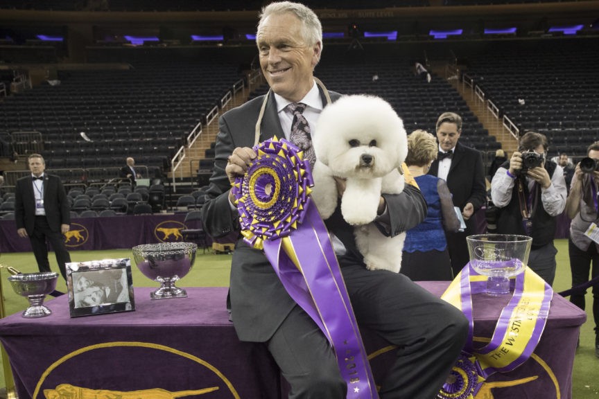 Truly best in show Westminster winner making Broadway debut Breitbart