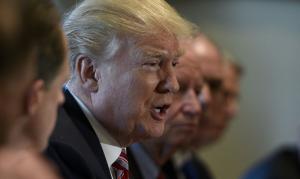 Trump tells lawmakers he's considering tariffs, quotas