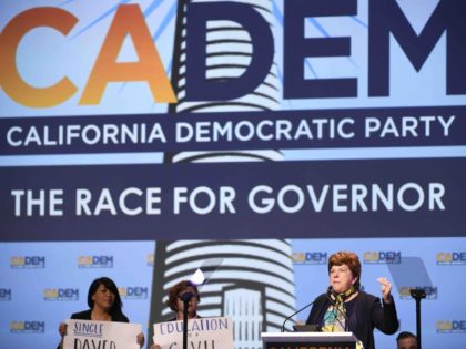 California Democratic Convention (Denis Poroy / Associated Press)