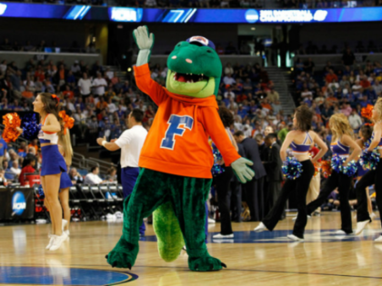 Florida Gators mascot (J. Meric/Getty)