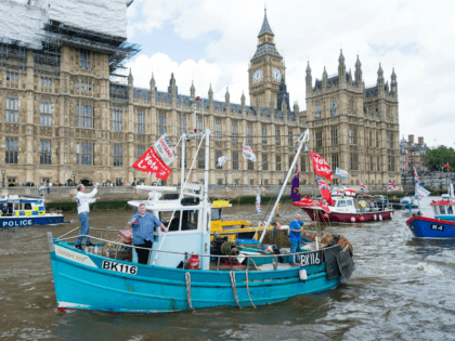 LONDON, ENGLAND - JUNE 15: Pro 'Leave' boats form a flotilla as Nigel Farage, leader of the UK Independence Party shows his support for the 'Leave' campaign for the upcoming EU Referendum aboard a boat on the River Thames on June 15, 2016 in London, England. Nigel Farage, leader of …